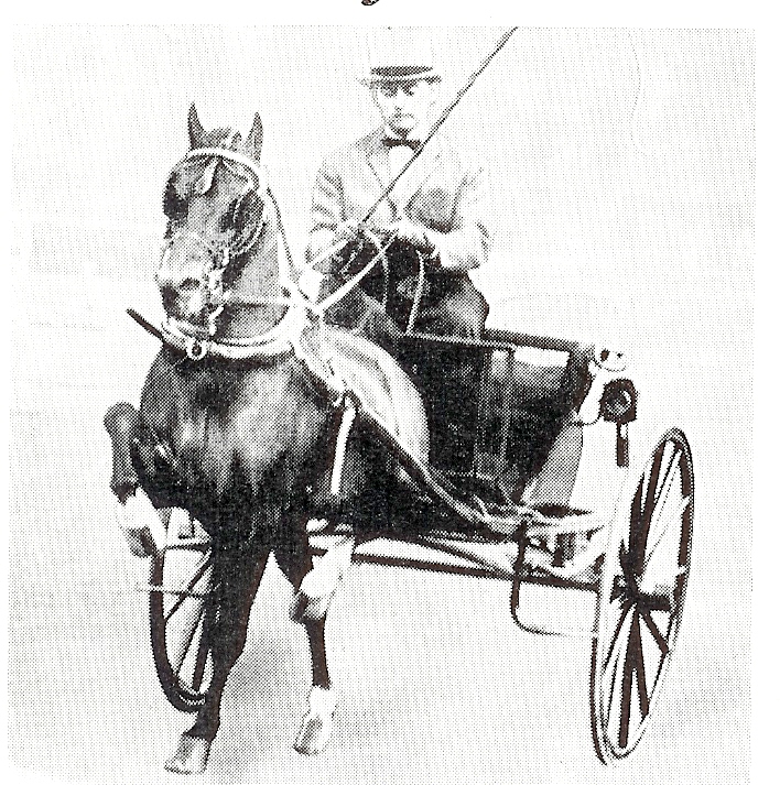 Cambridge Leader
