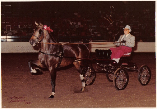 Ralph Sadler